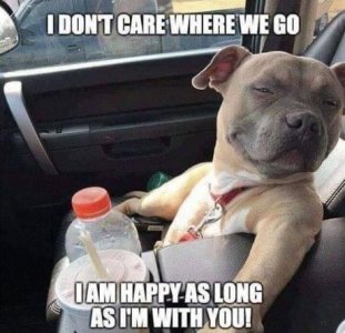 FD84706B-C4E9-4D3F-9128-30BC154640AD.jpeg
