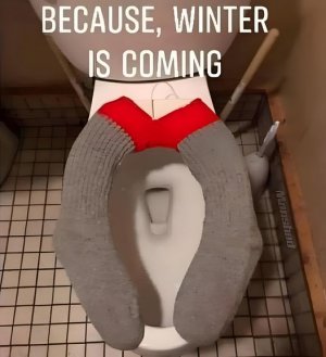 socks.jpg