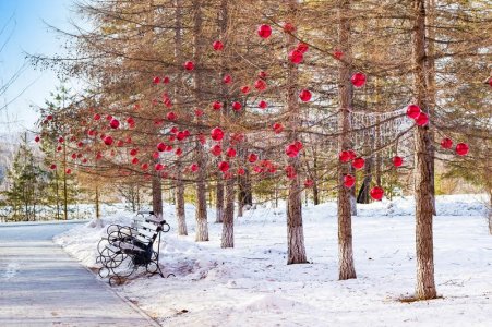 larch-winter-park-walkway-benches-decorated-to-christmas-red-glass-balls-landscape-111758696.jpg