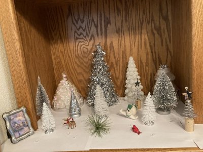 IMG_0106.JPG