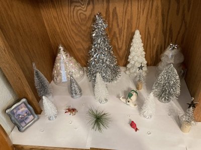 IMG_0107.JPG