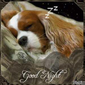 376610-Sleeping-Dog-Good-Night-Gif.gif