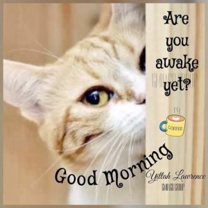 4890f7d73751f4ba2940992ac49c2cae[1].jpg