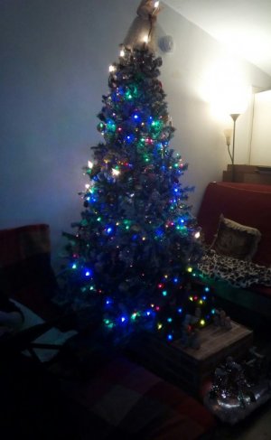 tempxmas.jpg