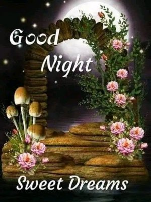 night roses.jpg