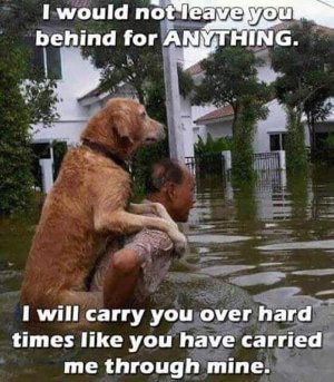 FB_IMG_1670670591543.jpg