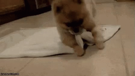 f214fd4e15b3dde3cb6594d956d7174b.gif