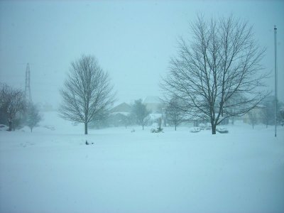 CFE8E882-DEC2-4589-A93F-05E7C3C11FE5.jpeg