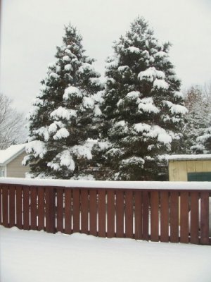 snow 12-12-22d.jpg