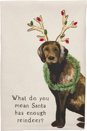 santa has enough reindeer.jpg