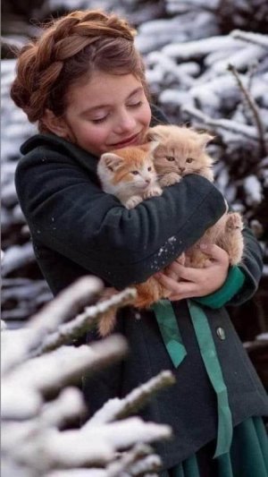peace cats.jpg