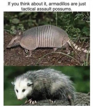 7oxc6q0pr3s31.jpg
