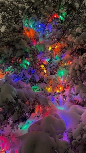 Tumblr_l_178944057996316.jpg