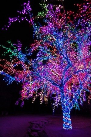 77e0d4e9b9258d93830de85e95653cca[1].jpg