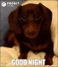 200w.gif