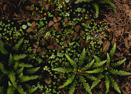 Tumblr_l_217147279362222.gif