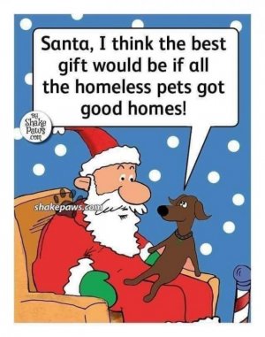 FB_IMG_1670960751594.jpg