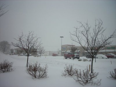 Snow Mall.JPG