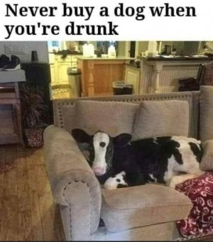 drunk.jpg