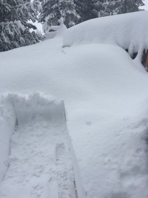cutting a path to the wood pile.jpg