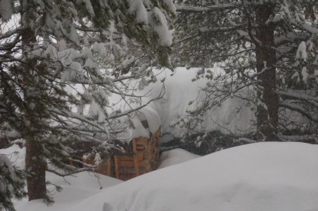 wood pile in winter.jpg