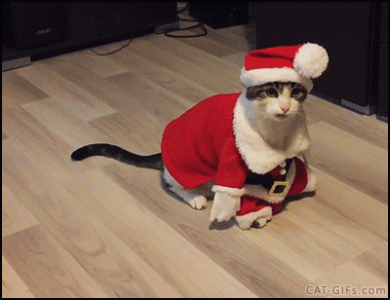0.gif