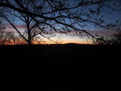 IMG_0010.jpg