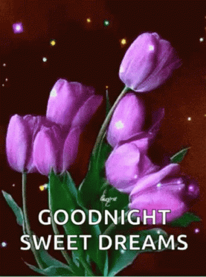 ef70054f30cd17ef2dfb8aeb61861127.gif