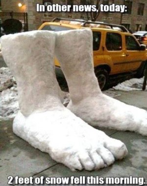 casnow007.jpg