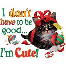 cute kitty.jpg