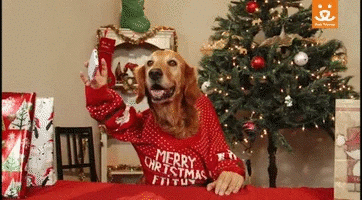 doggy.gif