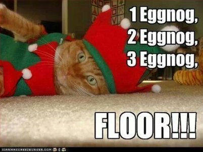 fa907fe1a613e87b8e83cc364f52990f[1].jpg