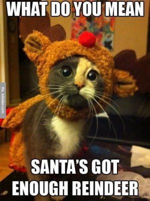3f83b909ac0d62069c730f5a890f6f94[1].jpg