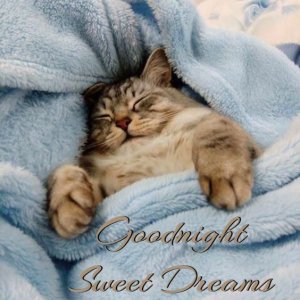 c256a874c8e18b3f91a36d5d17b4ba0c[1].jpg