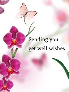 well wishes.jpg