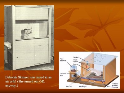 image-22.jpg image-22.jpg