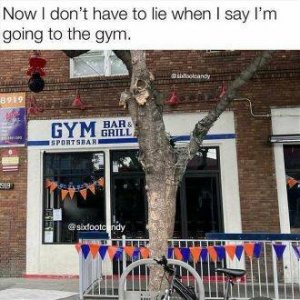gym.jpg