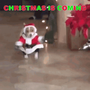 Christmas-Is-Coming-Gifs-Memes-And-Pictures-49162-3.gif