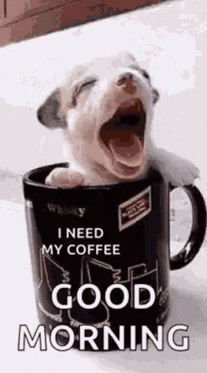 CC9D3F34-C49A-4BCE-821B-9CCAD6BC2EDC.gif