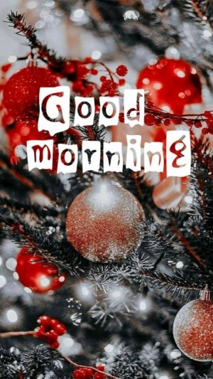 87ab768c4ea75c84a4dcd803b1a78a9a[1].jpg