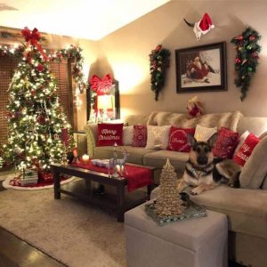 43a73bcc78080e6be977f3ff468a6485[1].jpg