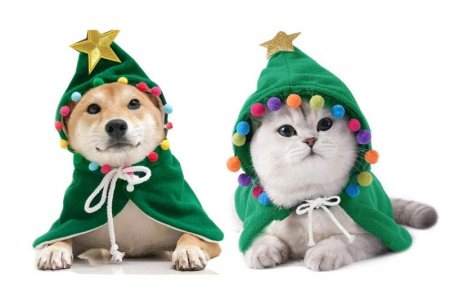 christmas-pet-costumes-amazon1.jpg