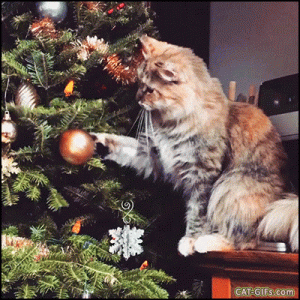 Tumblr_l_119857952939732.gif