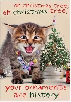 a225e16416056b0f3a7276dce19f700b[1].jpg