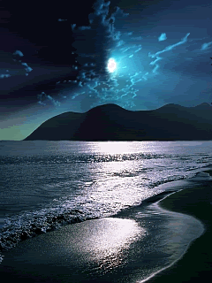 34605d8da2351cd5c8a44888869f17ce.gif