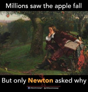 272218818_4900534980053880_2225797902881348298_n.jpg