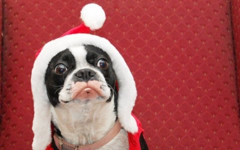 christmasgifs1-1080x675.jpg