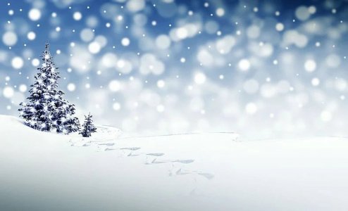 ezgif.com-gif-maker (13).jpg