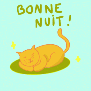 bonne nuit.gif