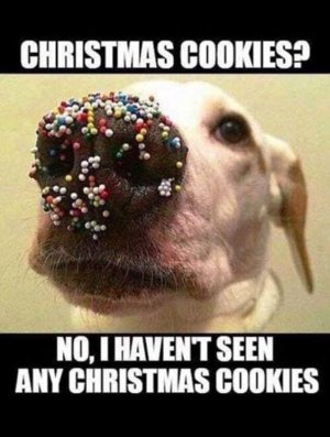 897C50B7-5F70-4DF6-A62F-90B0B35E97BF.jpeg